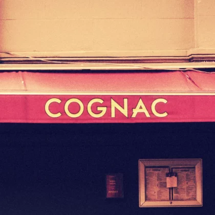 The Art of Pronouncing, Spelling, and Writing cognac