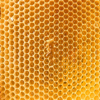 honeycomb