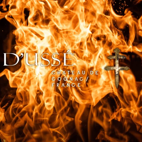 D'USSÉ Cognac Review: Jay-Z's Premium Brand Explained