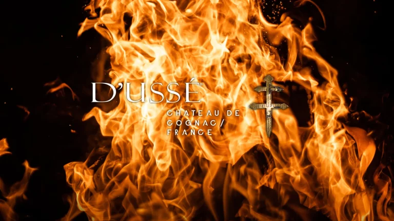 D’USSÉ Cognac Review: Jay-Z’s Premium Brand Explained