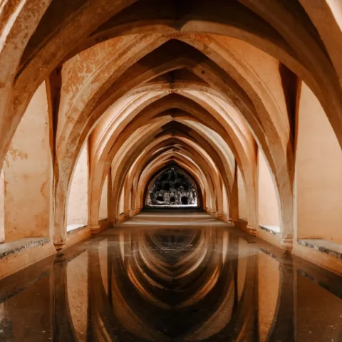 cognacs cellar