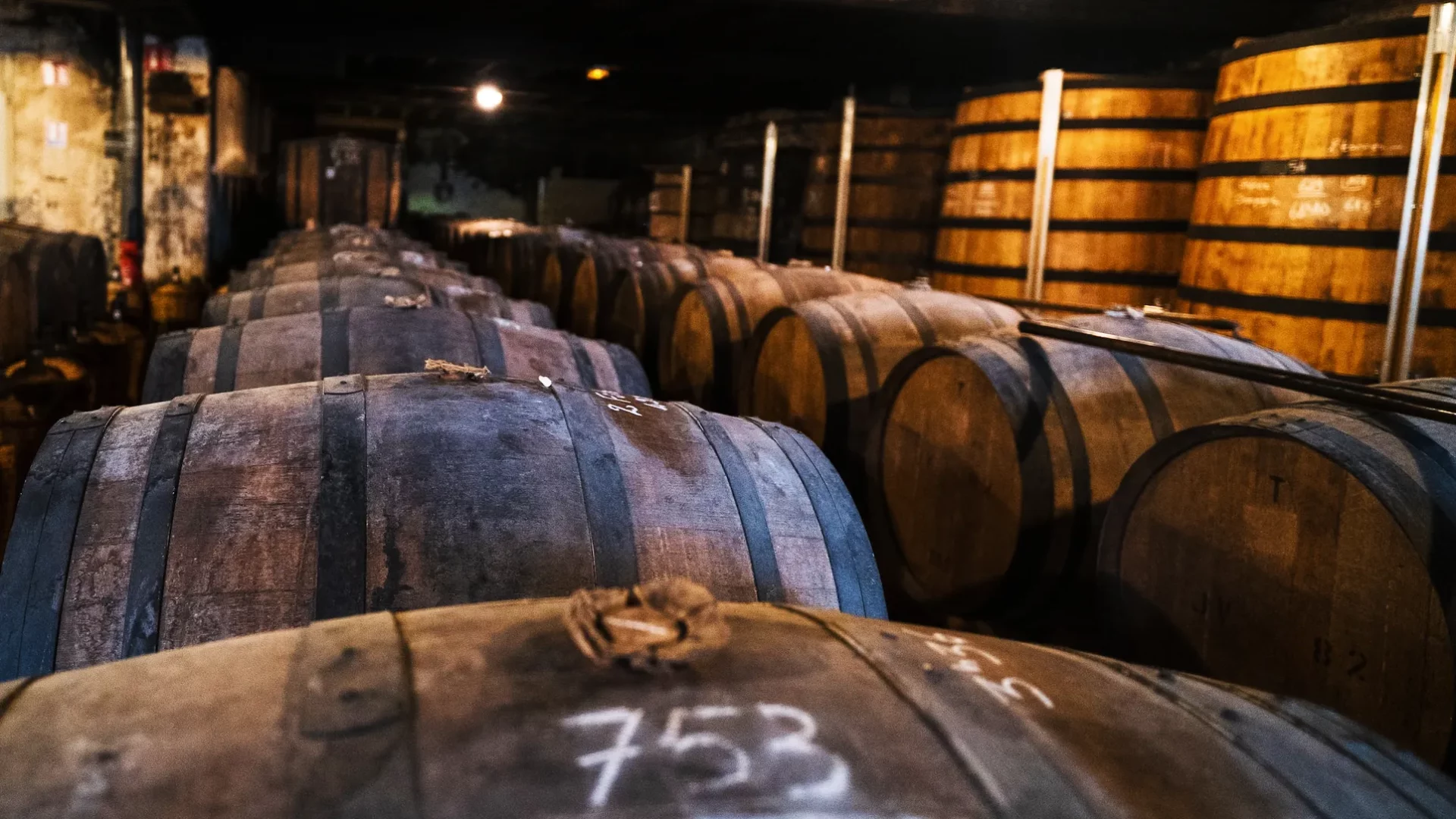 Cognacs cellar