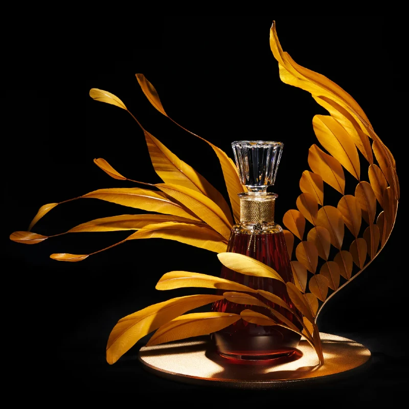 Camus cognac cuvée poets & birds yellow