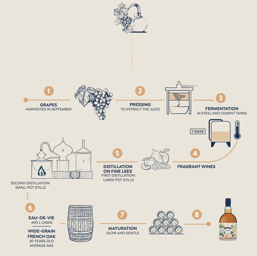 Camus cognac production process in 8 steps