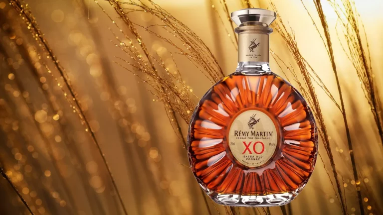 Rémy Martin XO Excellence: Complete Value Analysis & Tasting Guide